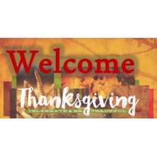 Good Thanksgiving Weekend arrives in US?